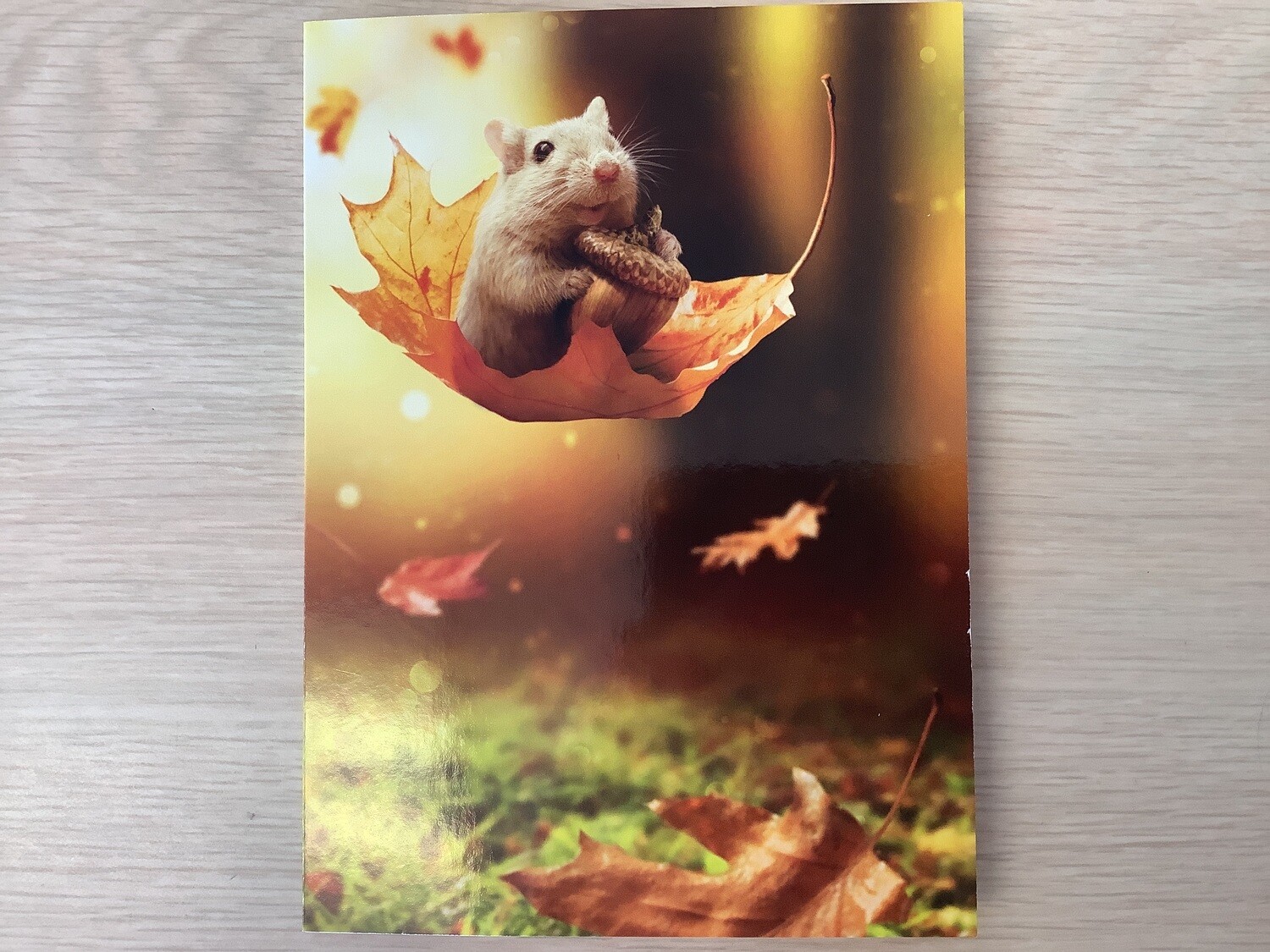 AVANTI SQUIRREL ON LEAF THANKSGIVING CARD
