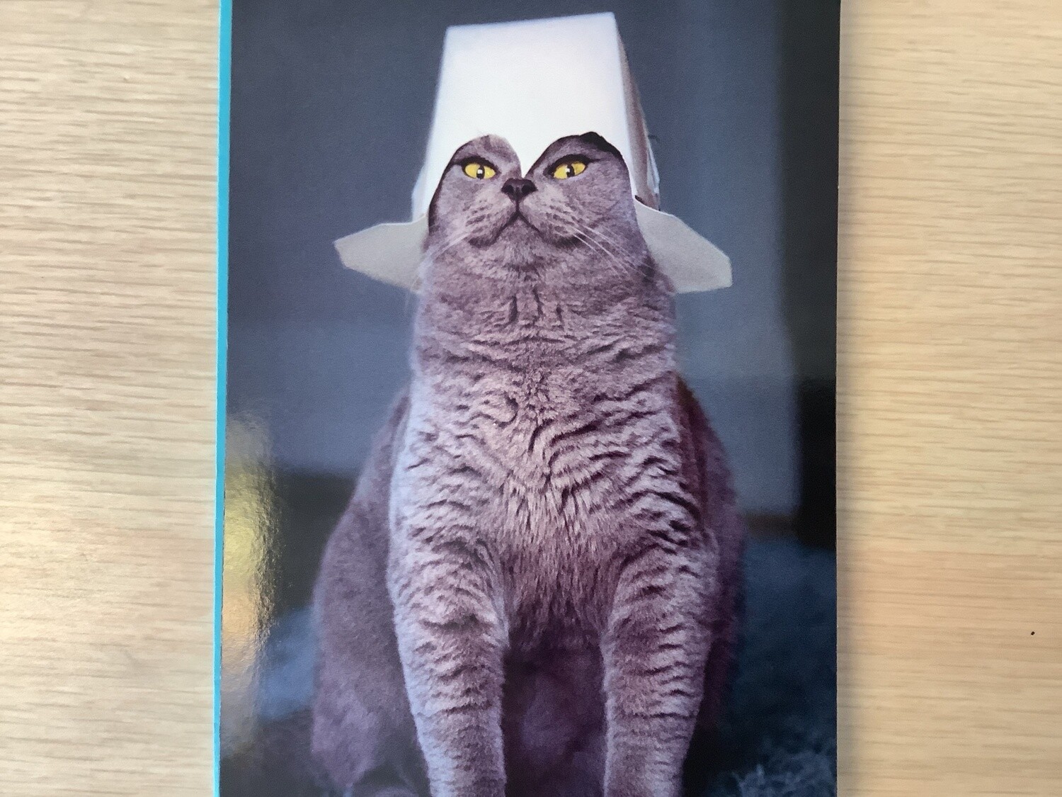 AVANTI CAT HAT CARD FATHERS DAY