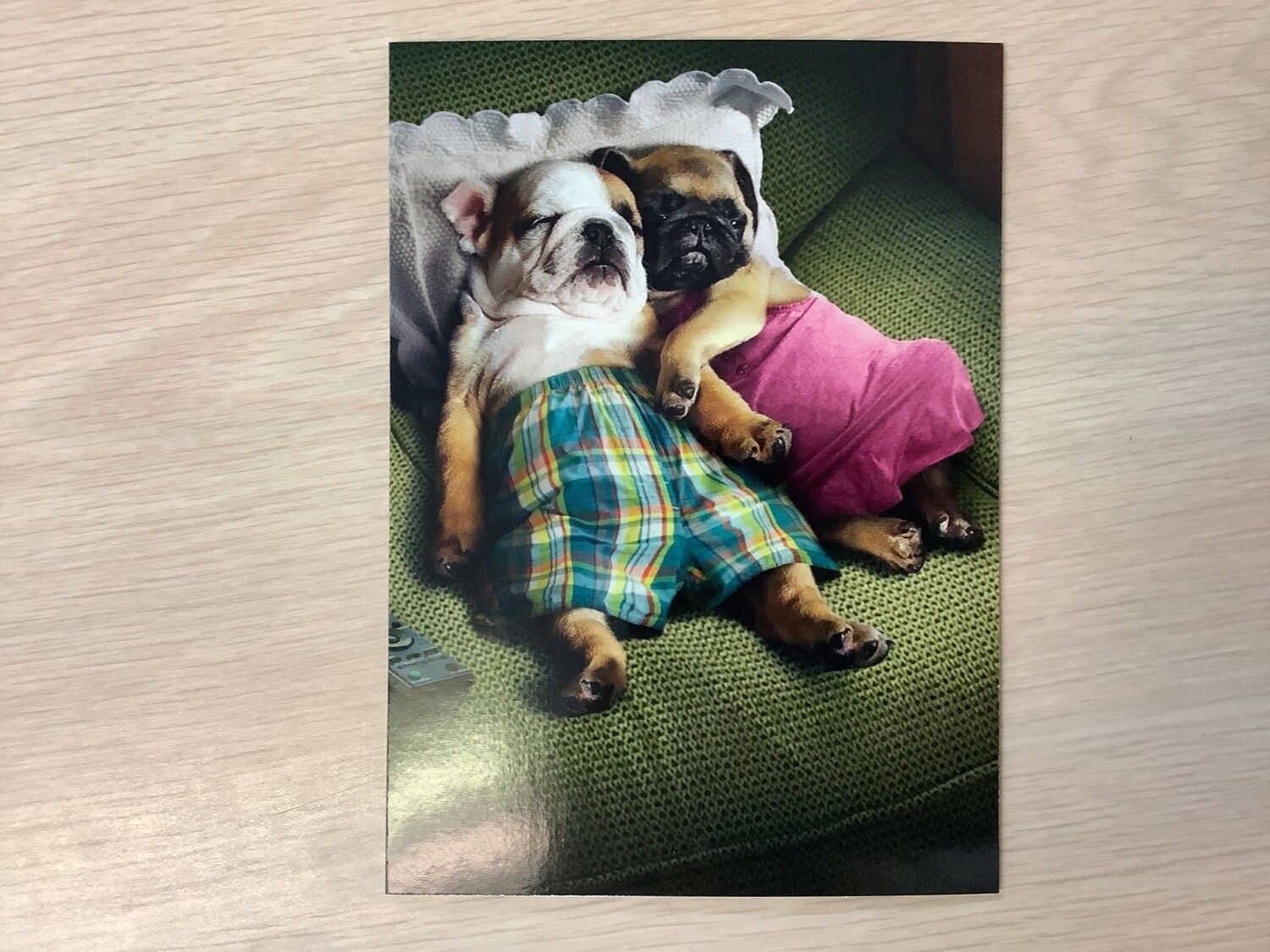 AVANTI HOLIDAY DOGS CUDDLING VALENTINES DAY CARD