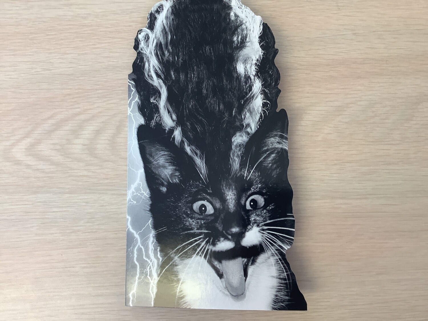 AVANTI CAT BRIDE OF FRANKENSTEIN HALLOWEEN CARD