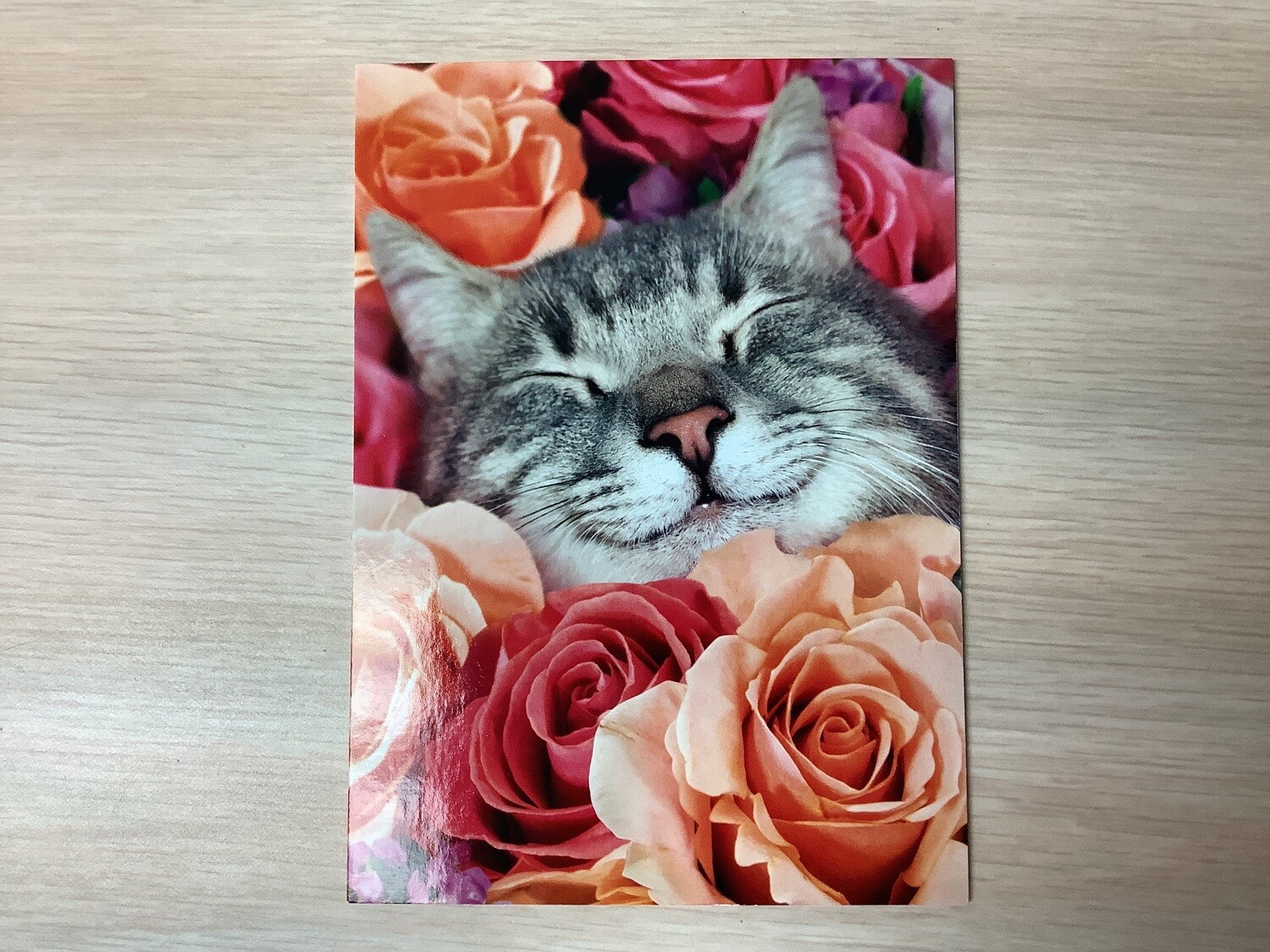 AVANTI HOLIDAY CAT IN ROSES VALENTINES DAY CARD