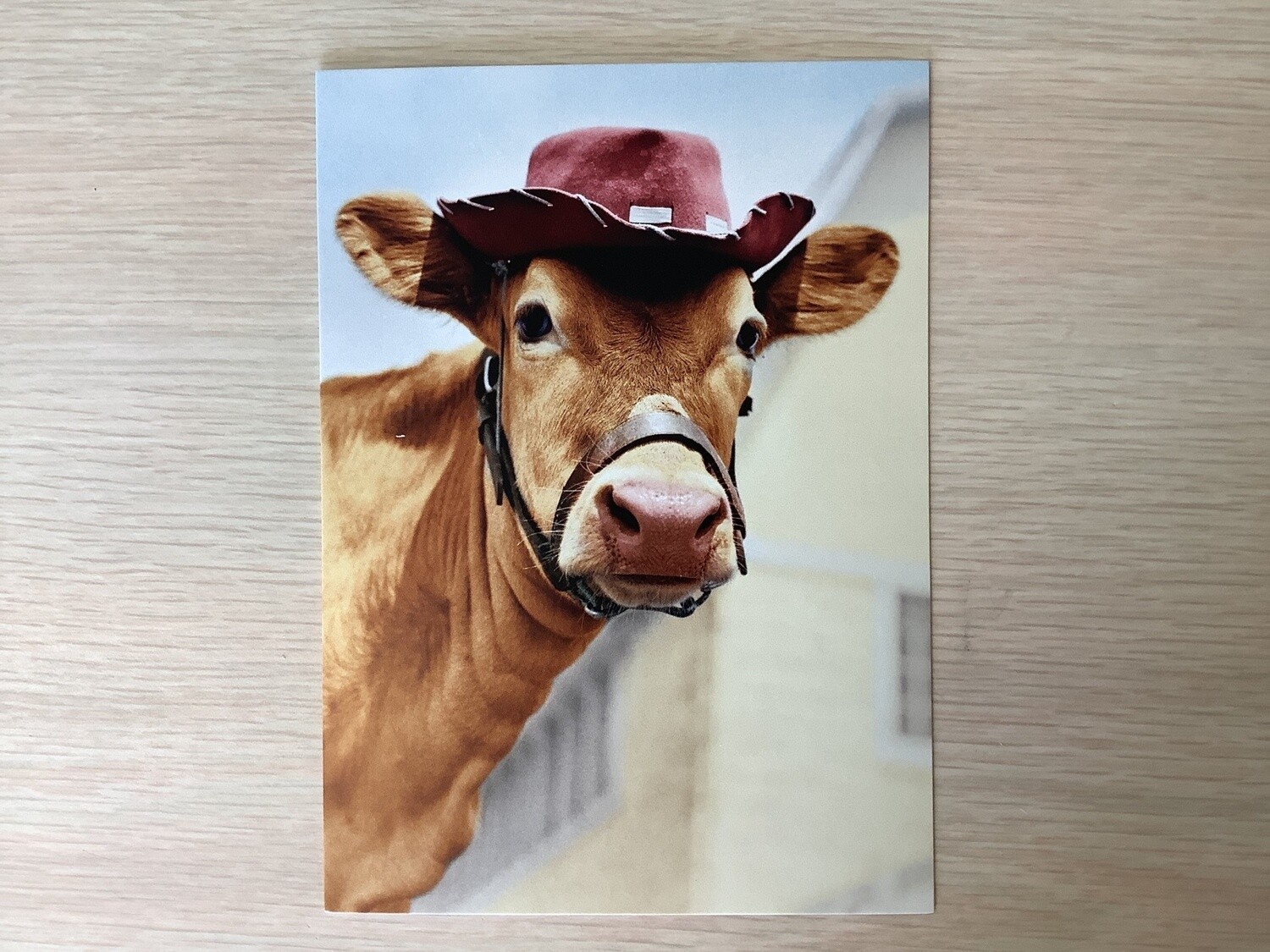 AVANTI AMERICA JERSEY COW WITH HAT FRIENDSHIP CARD