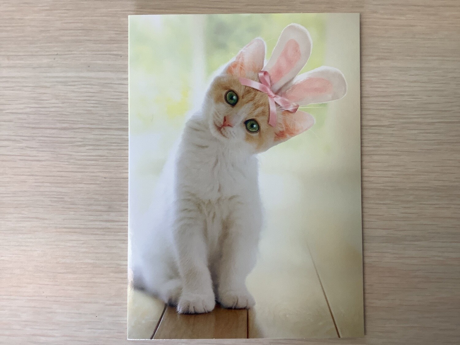 AVANTI KITTEN BUNNY EASTER CARD