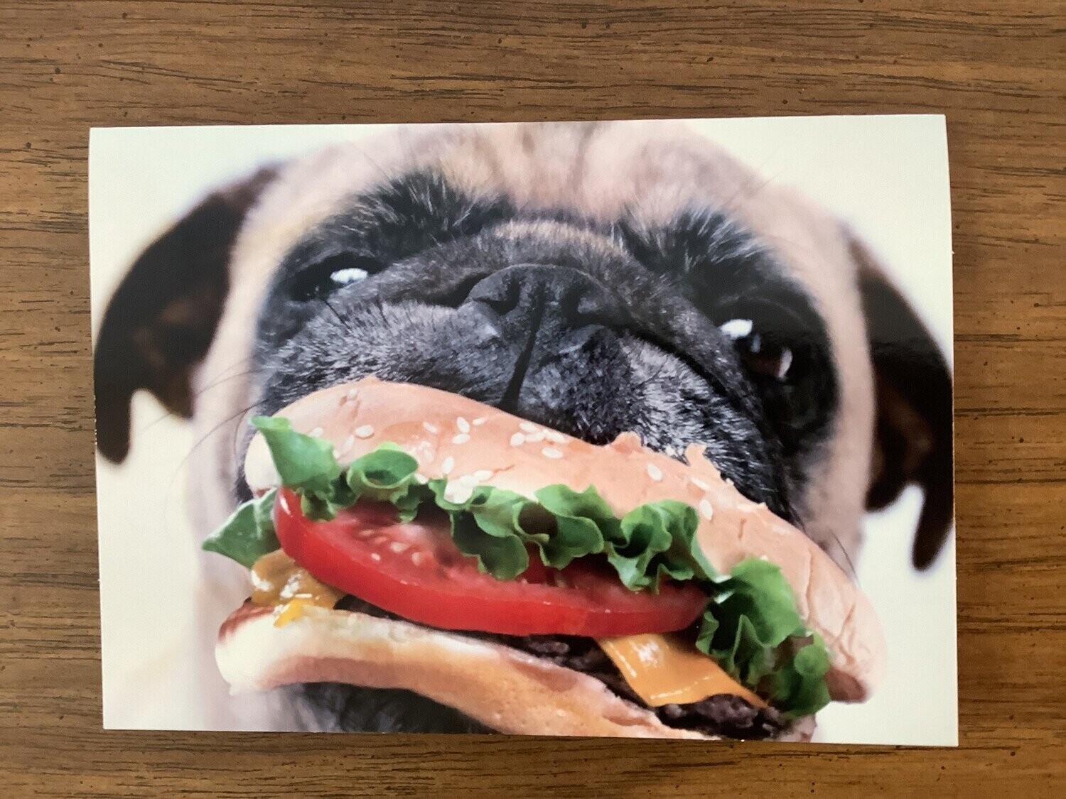 AVANTI PUG SANDWICH BIRTHDAY CARD