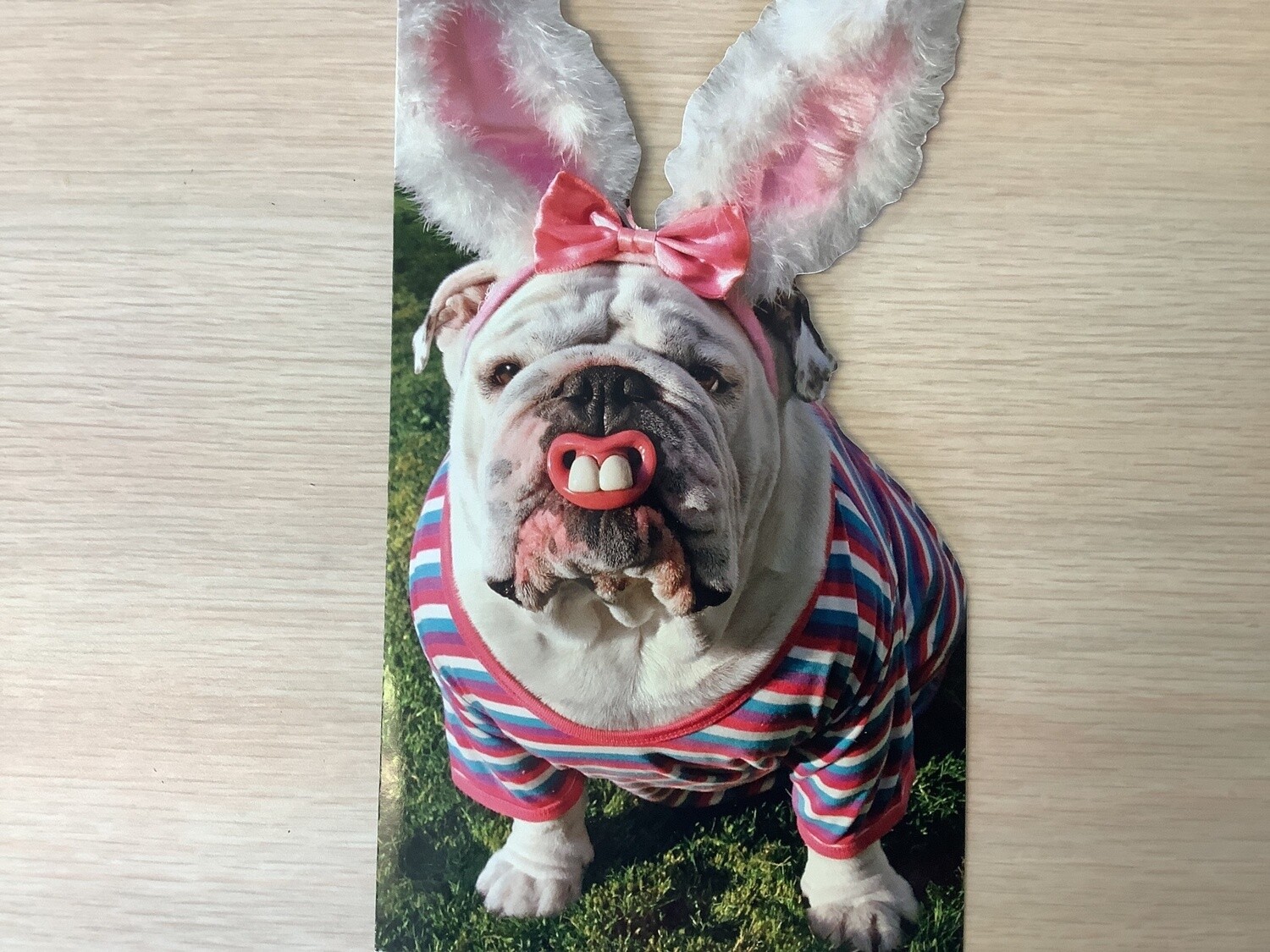 AVANTI BUNNY DOG EASTER CARD