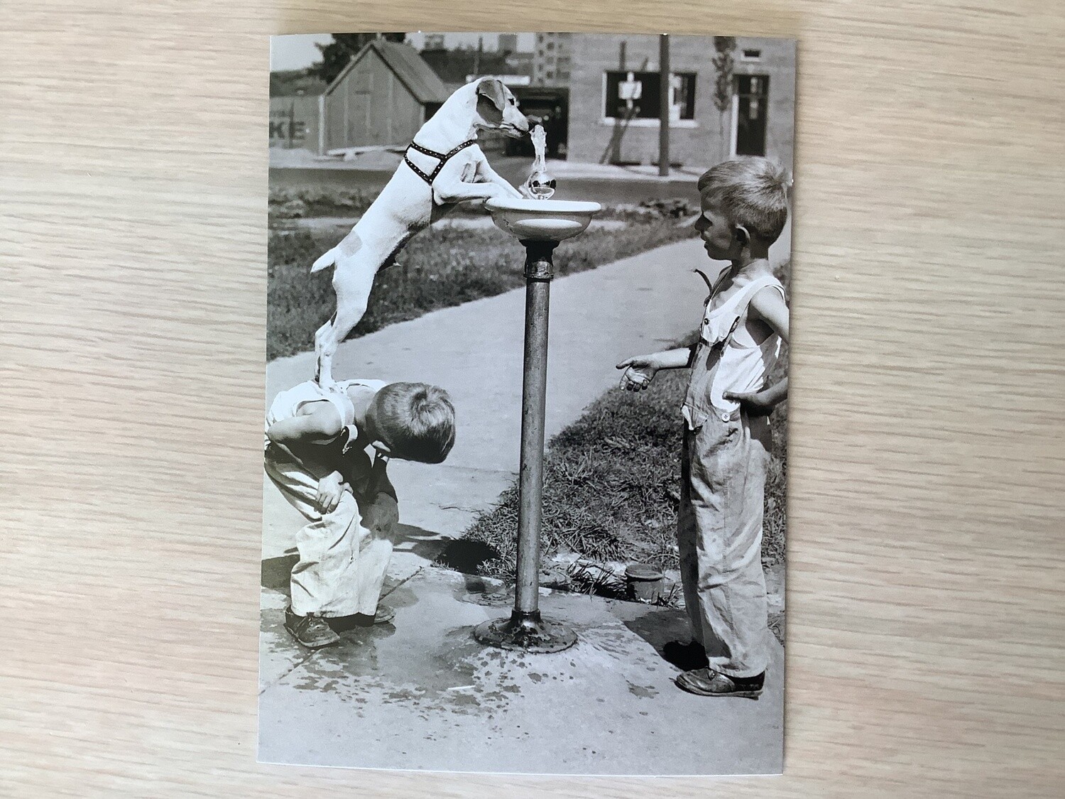 AVANTI AMERICA KIDS WITH DOG WATER FOUNTAIN ENCOURAGEMENT CARD