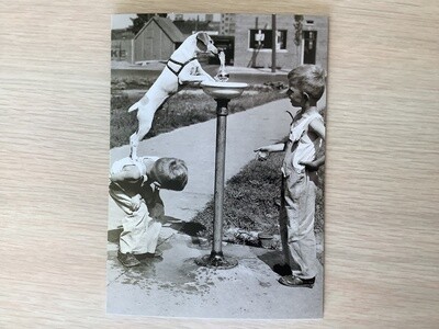 AVANTI AMERICA KIDS WITH DOG WATER FOUNTAIN ENCOURAGEMENT CARD