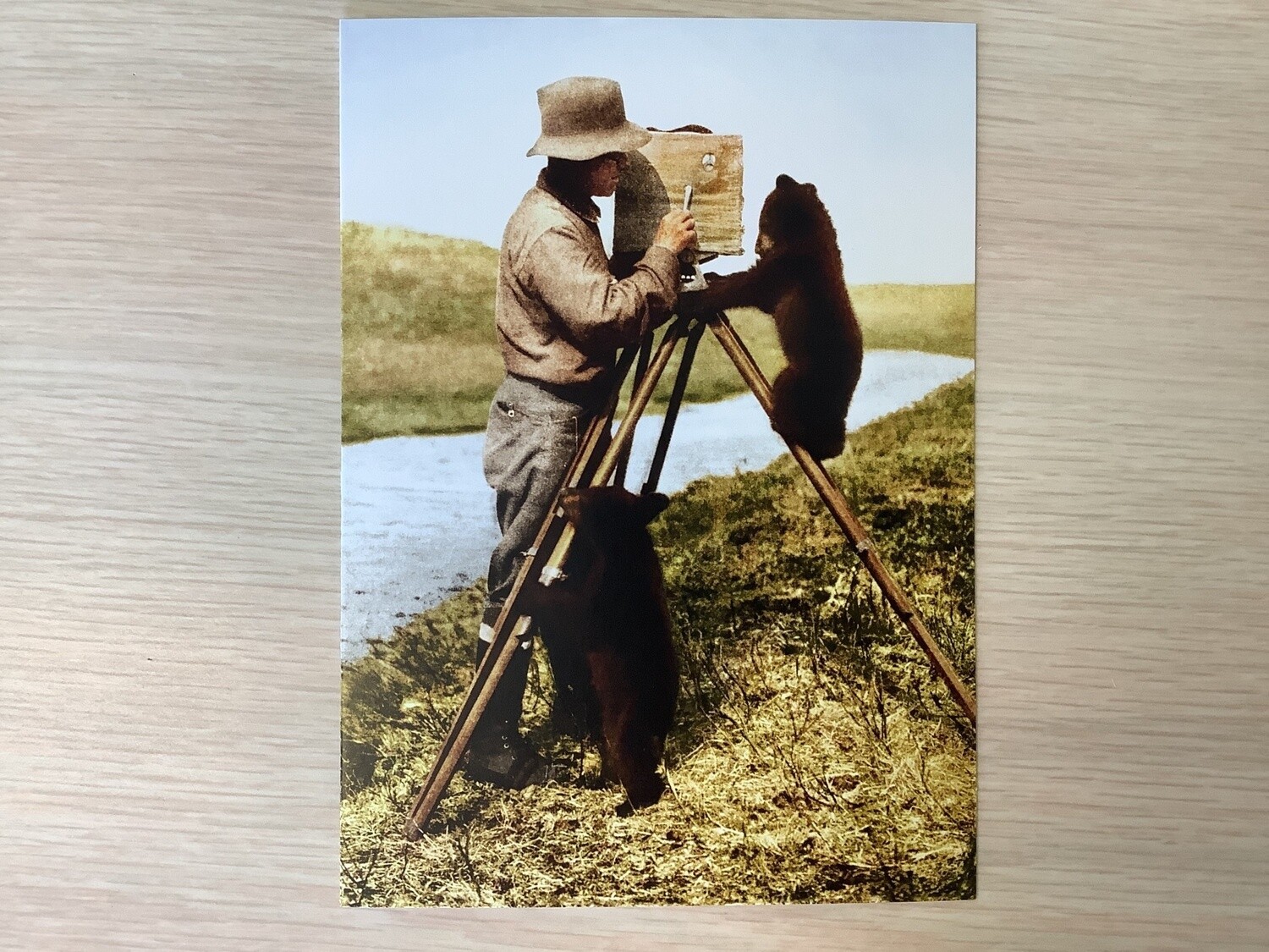 AVANTI AMERICA CAMERA MAN AND BEARS ENCOURAGEMENT CARD