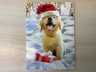 AVANTI DOG IN SNOW CHRISTMAS CARD