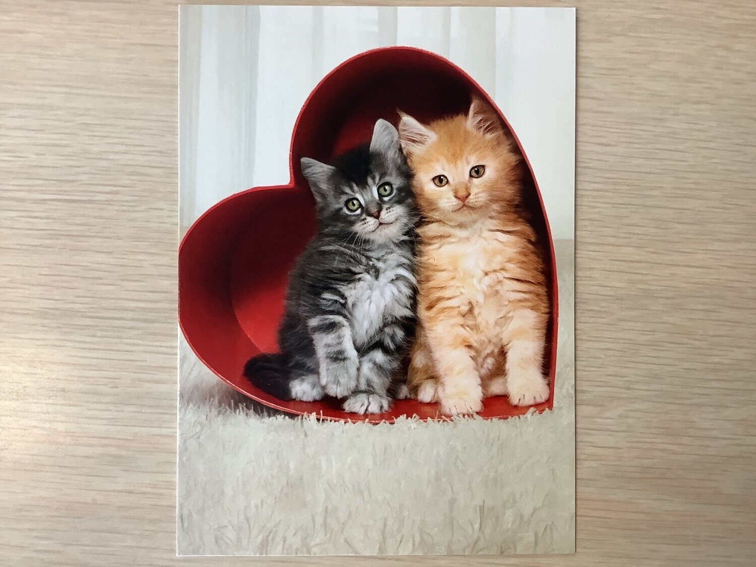 AVANTI HOLIDAY HEART KITTENS VALENTINES DAY CARD