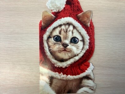 AVANTI KITTEN KNIT HAT CHRISTMAS CARD