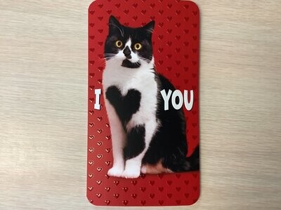 AVANTI HOLIDAY HEART CAT VALENTINES DAY CARD