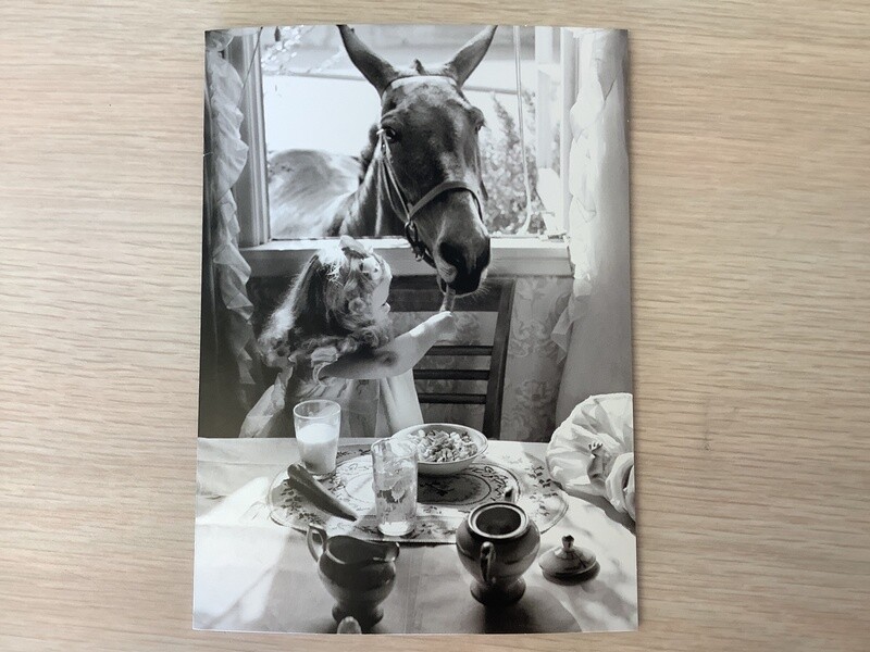 AVANTI AMERICA FRANCIS THE MULE FRIENDSHIP CARD