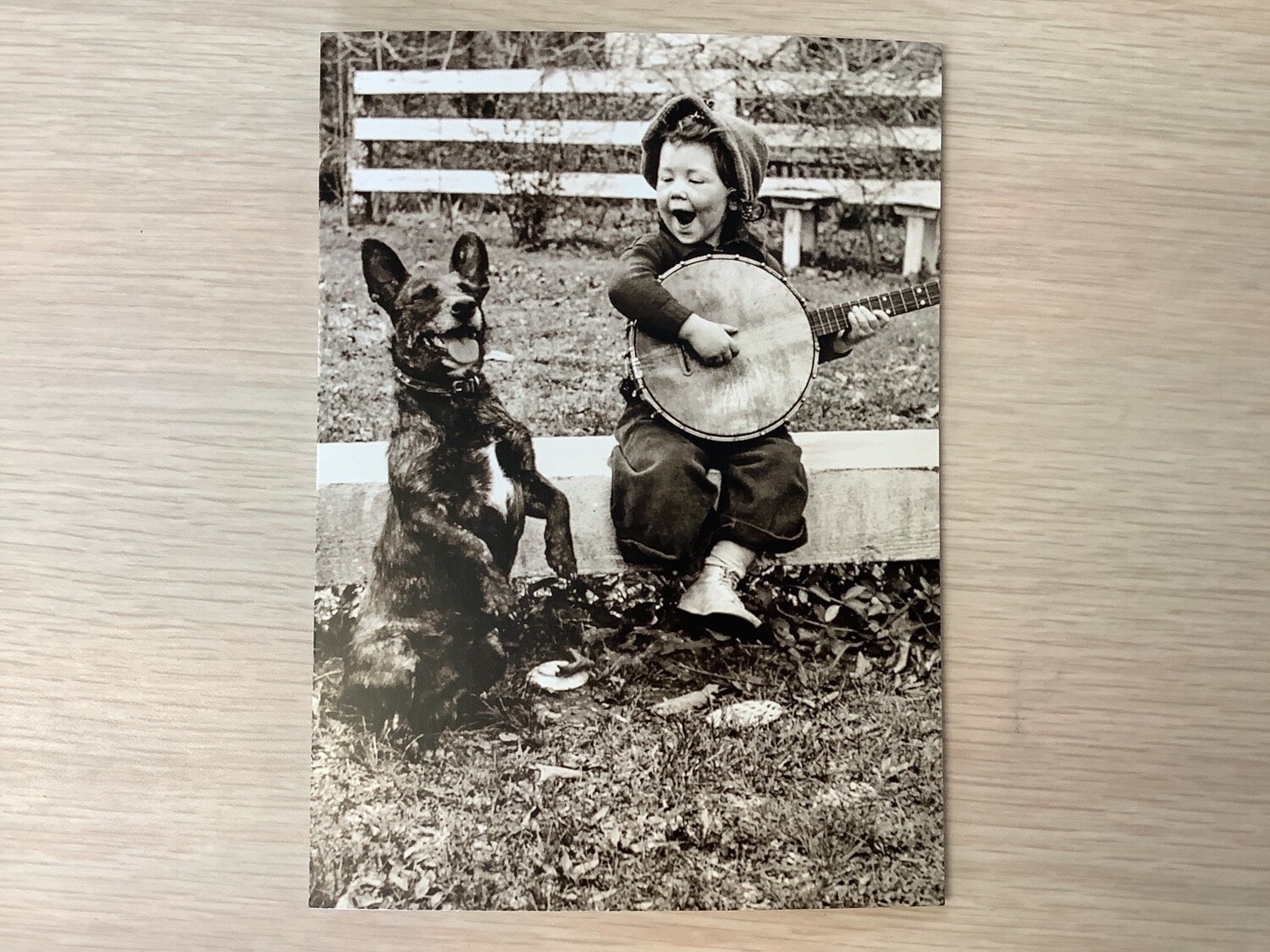 AVANTI AMERICA KID WITH BANJO AND DOG THANK YOU CARD