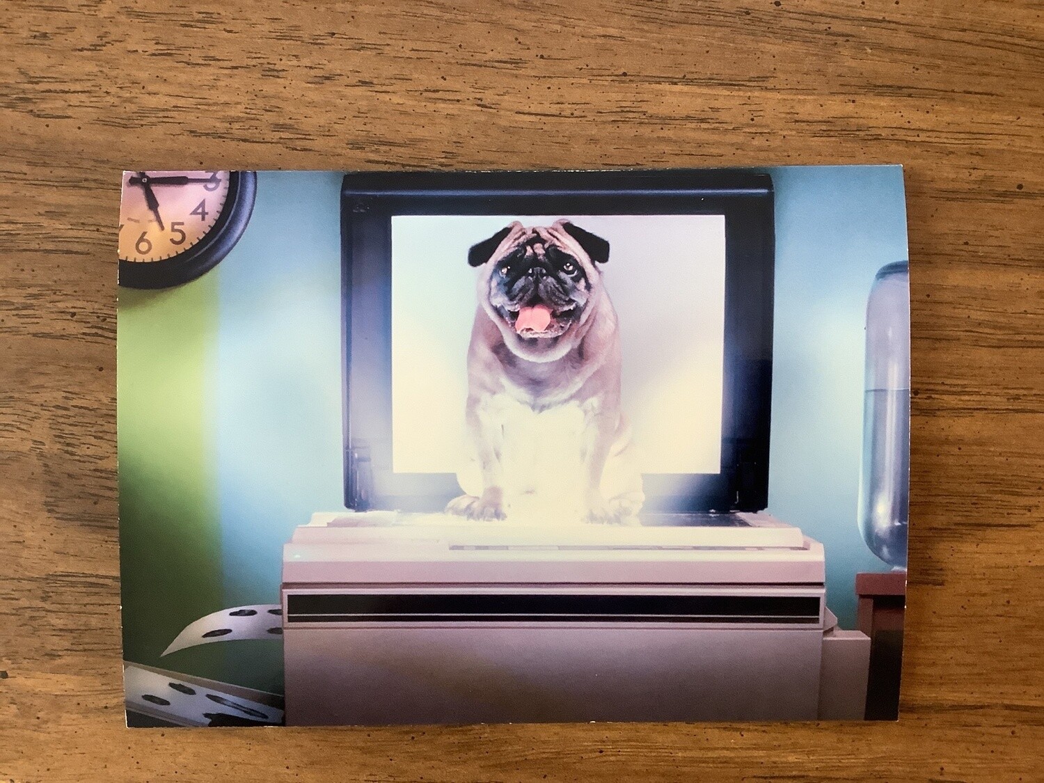 AVANTI DOG ON COPIER BIRTHDAY CARD