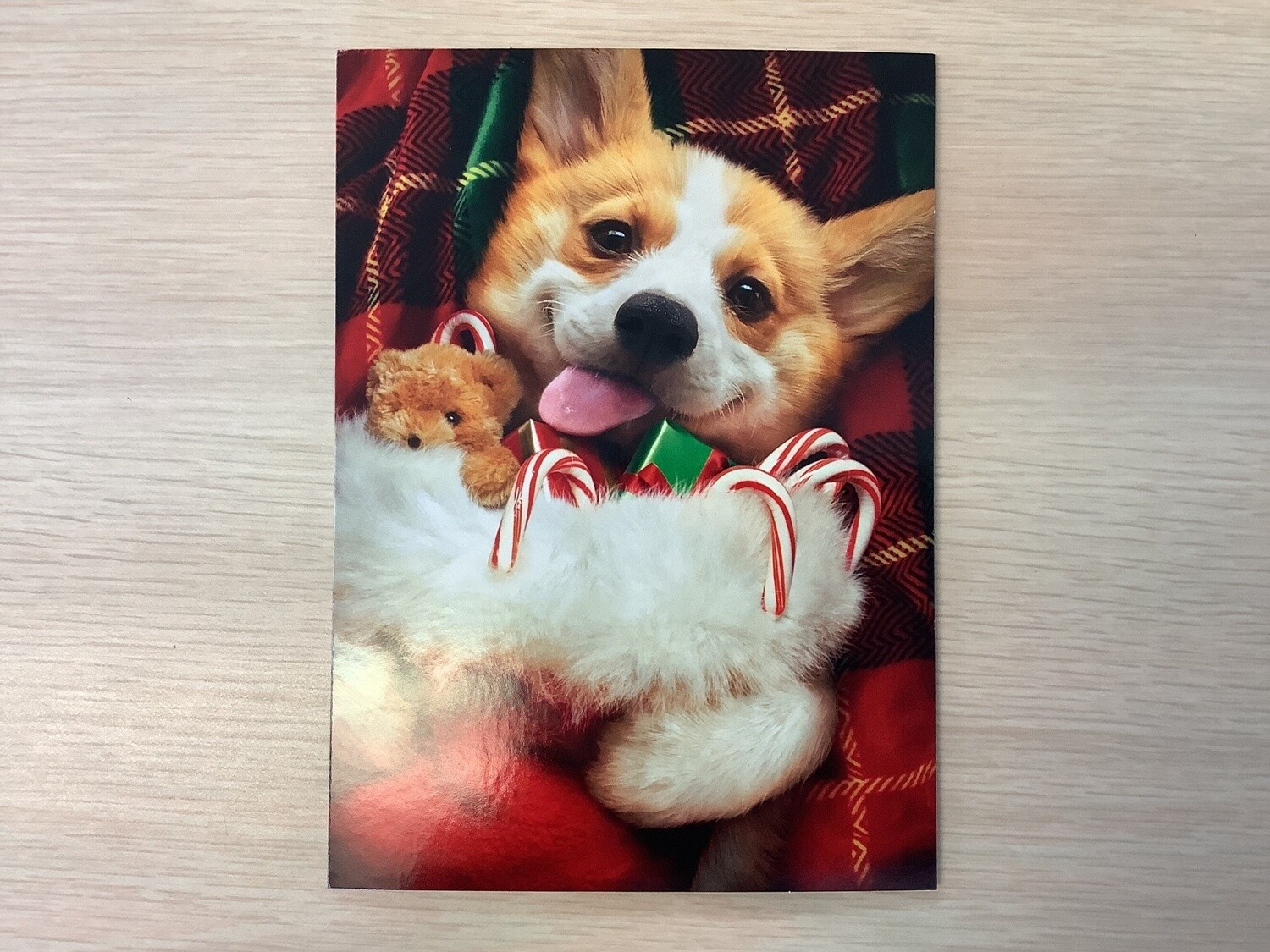 AVANTI CORGI STOCKING CHRISTMAS CARD