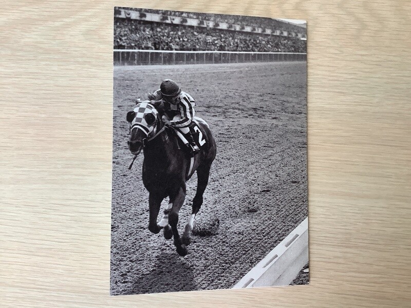 AVANTI AMERICA SECRETARIAT BIRTHDAY CARD