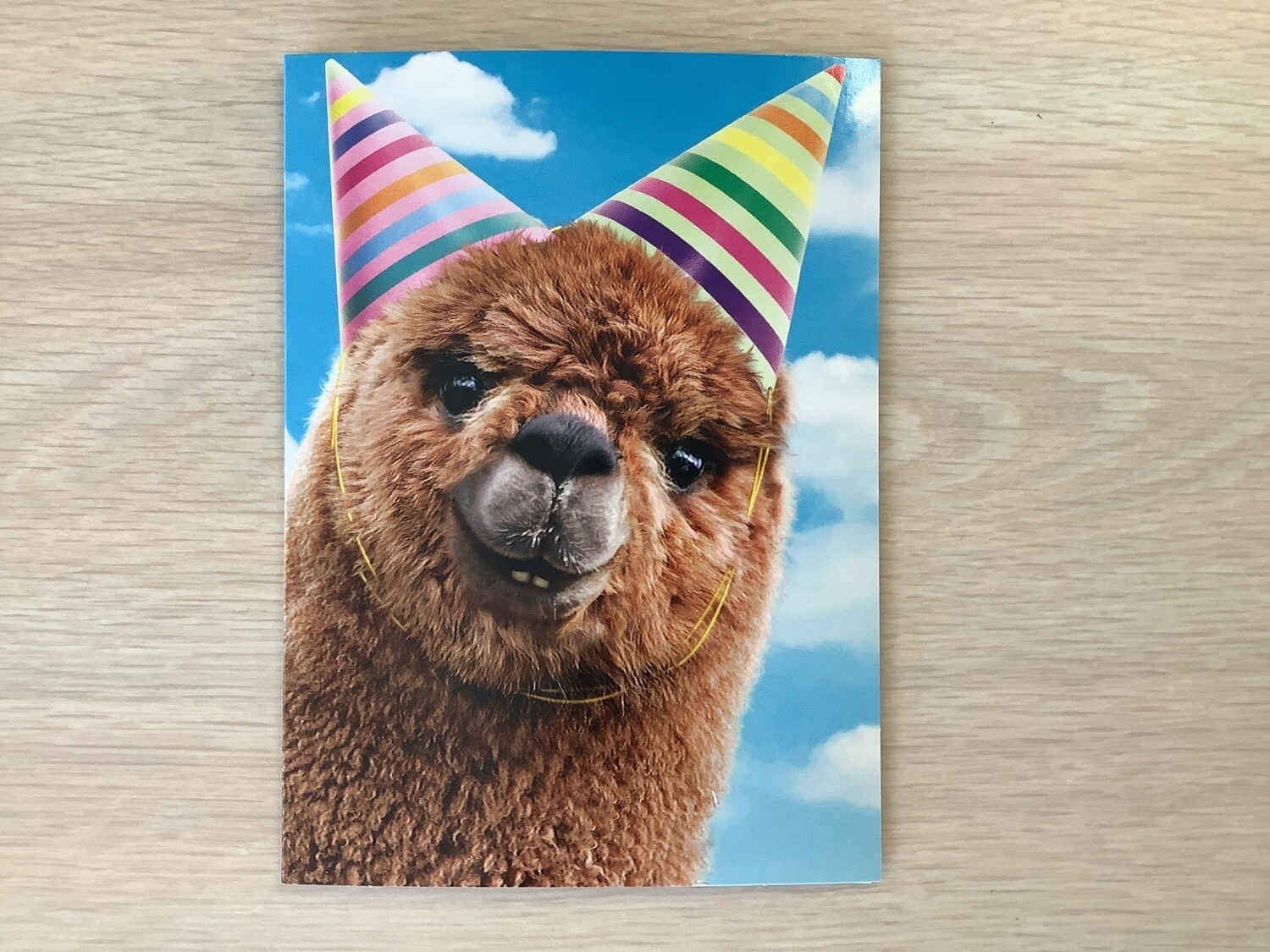 AVANTI ALPACA BIRTHDAY CARD