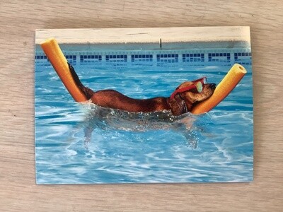 AVANTI DOG ON POOL NOODLE RETIREMENT CARD