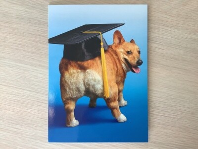 AVANTI CORGI BUTT GRAD CAP GRADUATION CARD