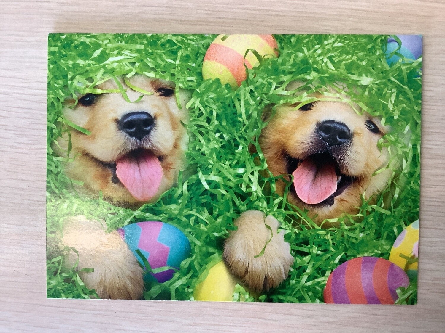 AVANTI PUPPIES EGGS EASTER CARD