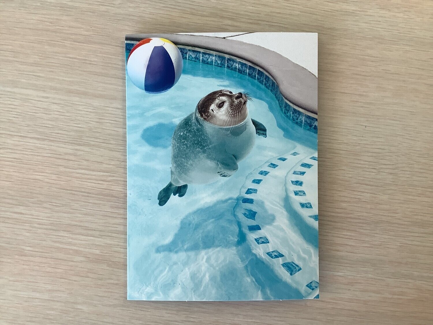AVANTI SEAL IN POOL BIRTHDAY CARD