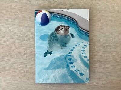 AVANTI SEAL IN POOL BIRTHDAY CARD