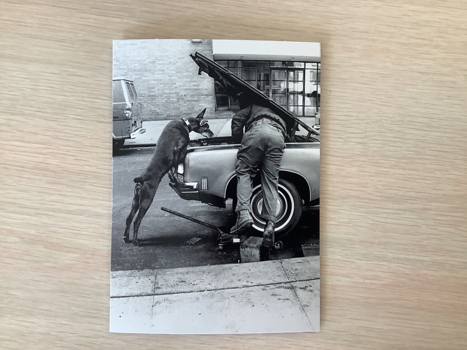 AVANTI DOG WORKING ON CAR BIRTHDAY CARD