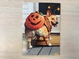 AVANTI CORGI BUTT HALLOWEEN CARD