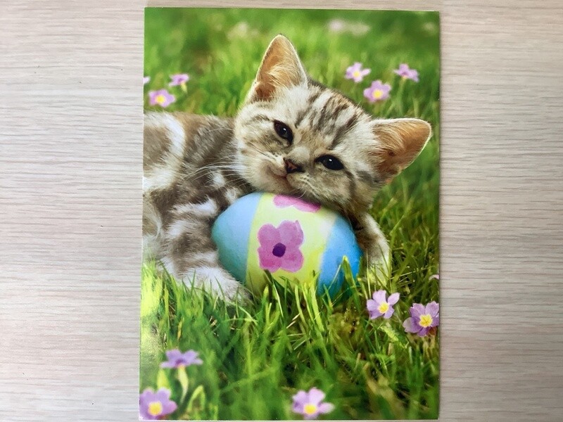 AVANTI CAT EGG EASTER CARD