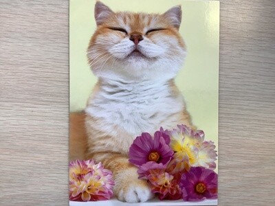 AVANTI CAT FLOWERS MOTHERS DAY CARD