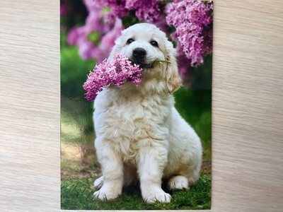 AVANTI DOG FLOWER MOTHERS DAY CARD