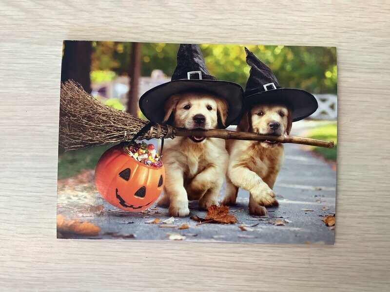 AVANTI GOLDEN PUPPIES WITH BROOM STICK HALLOWEEN CARD