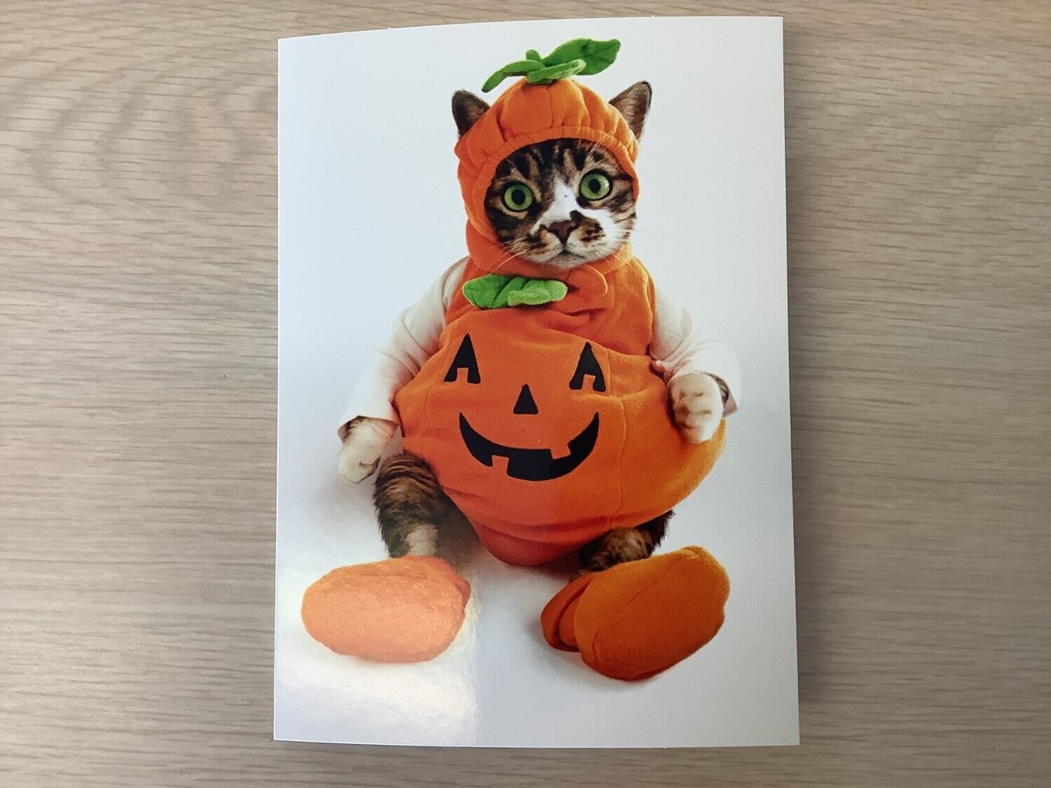AVANTI CAT COSTUME HALLOWEEN CARD