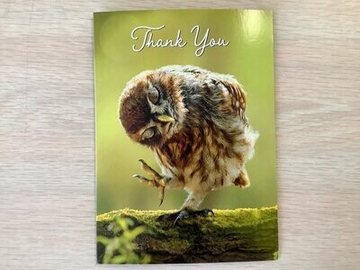 AVANTI OWL THANK YOU CARD