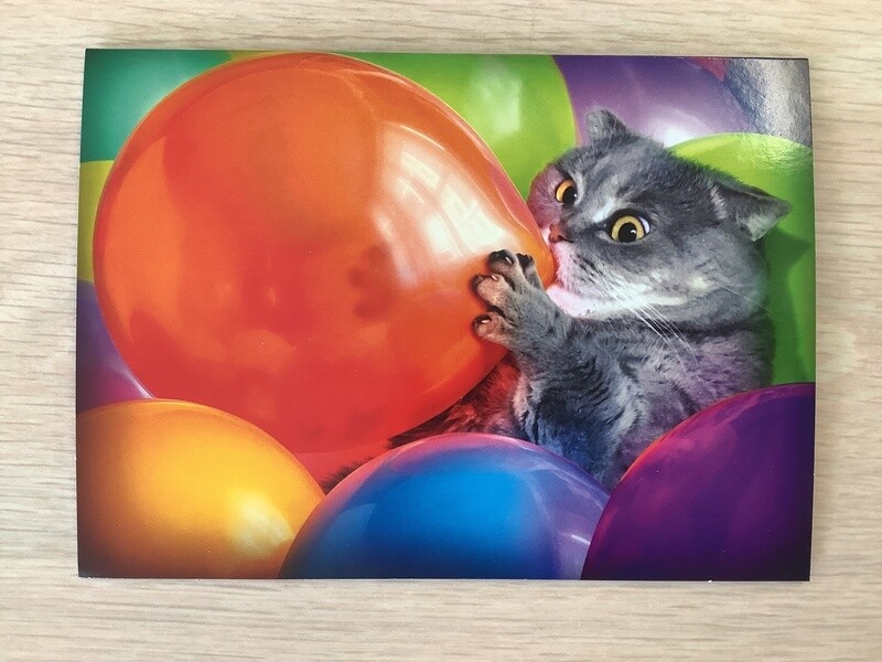 AVANTI CAT BLOWING UP BALLOONS BIRTHDAY CARD