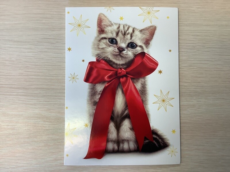 AVANTI BOW KITTEN CHRISTMAS CARD