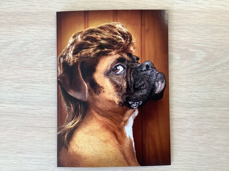 AVANTI DOG WITH MULLET BIRTHDAY CARD
