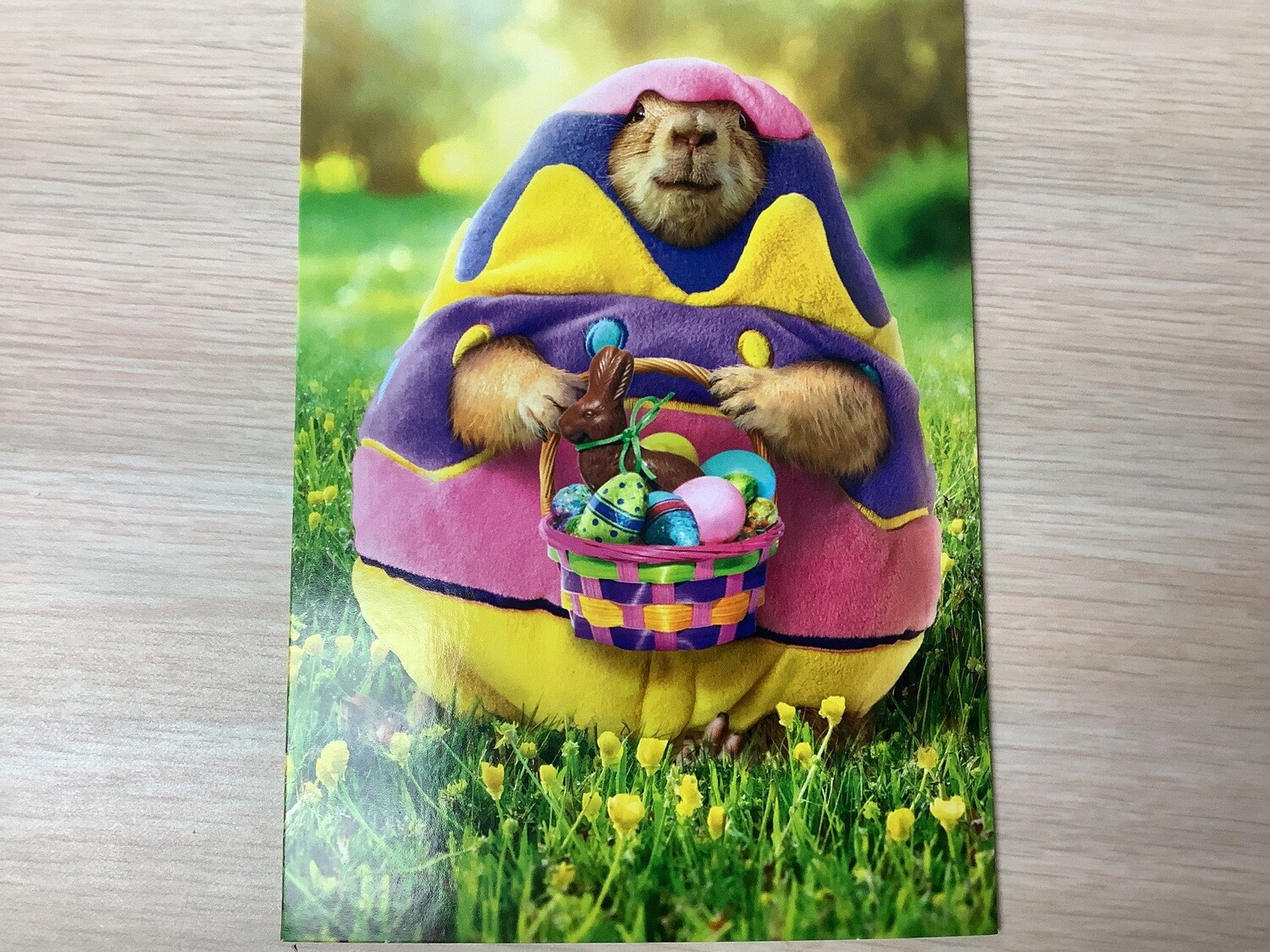 AVANTI EGG COSTUME HOLIDAY EASTER CARD