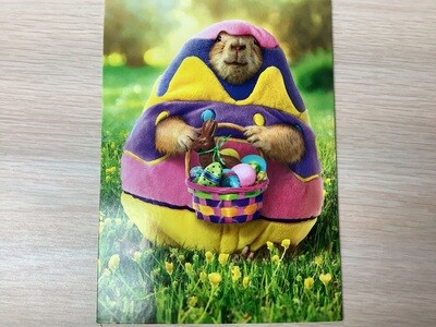 AVANTI EGG COSTUME HOLIDAY EASTER CARD