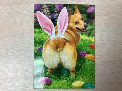 AVANTI CORGI BUTT EASTER CARD