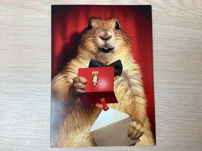 AVANTI GROUNDHOG CONGRATS GRADUATION CARD (IN-STORE ONLY)
