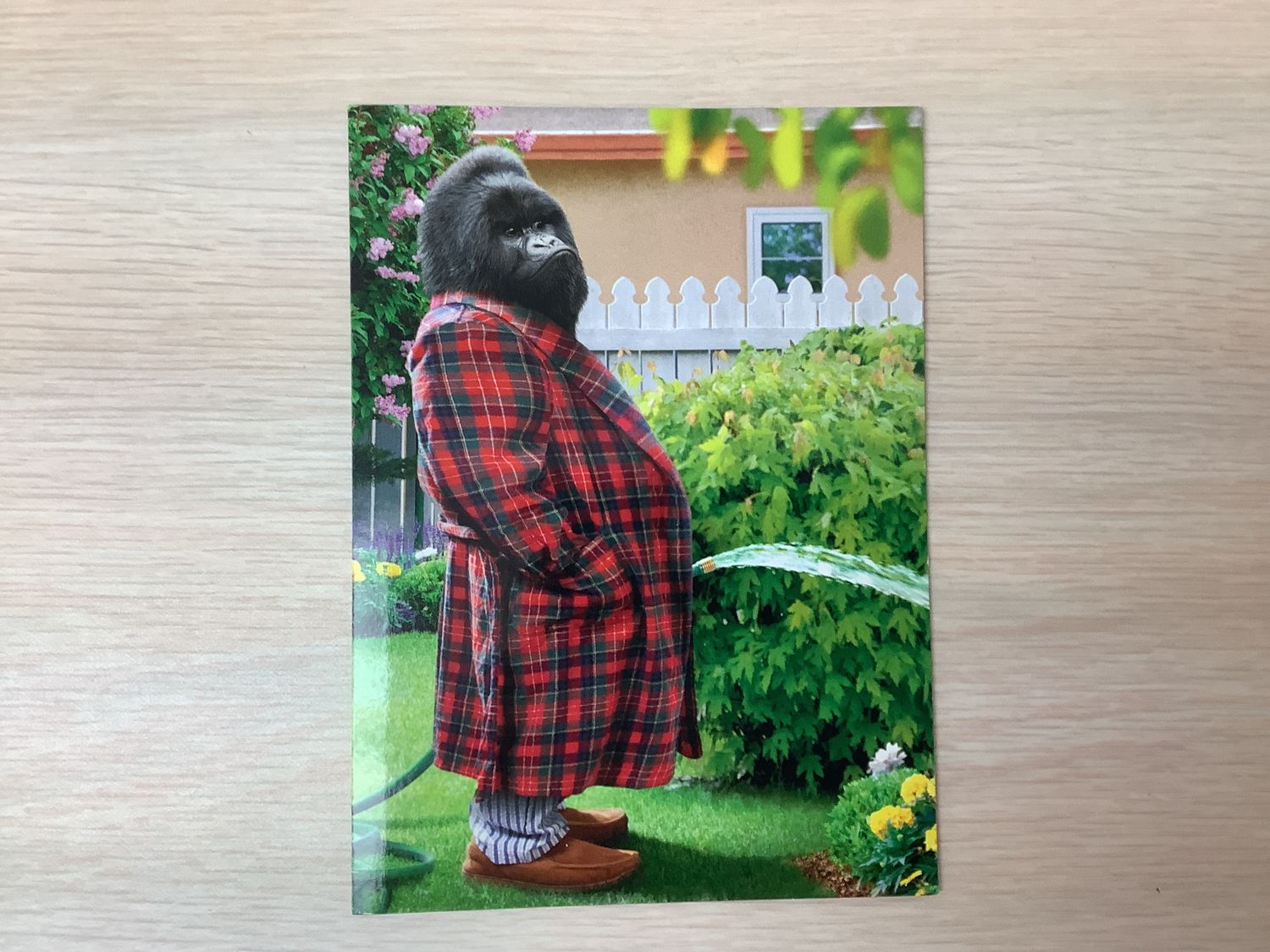 AVANTI GORILLA HOSE CARD FATHERS DAY (IN-STORE ONLY)