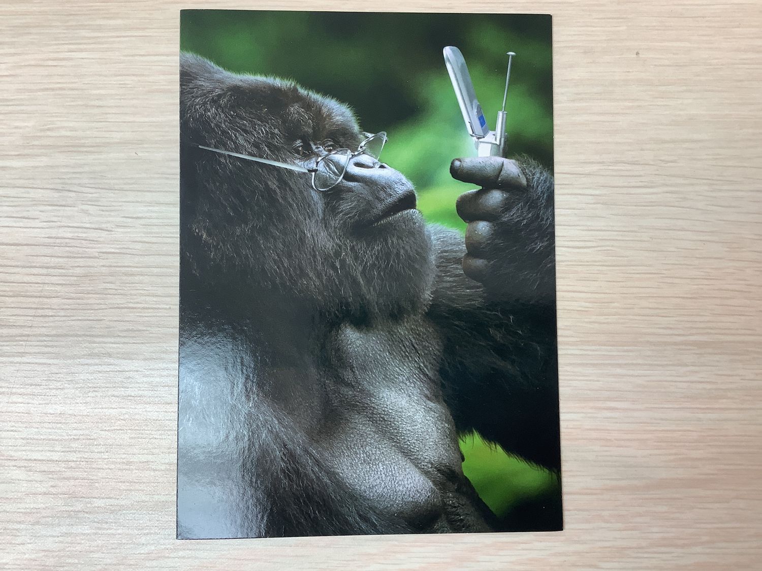 AVANTI GORILLA PHONE FATHERS DAY CARD (IN-STORE ONLY)