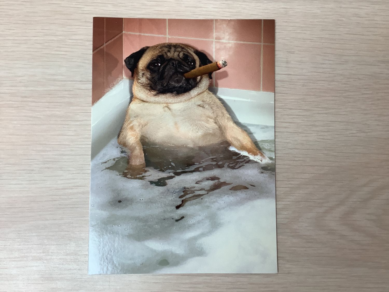 AVANTI CARD PUG CIGAR FATHERS DAY (IN-STORE ONLY)