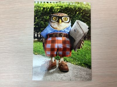 AVANTI SMART OWL FATHERS DAY CARD (IN-STORE ONLY)