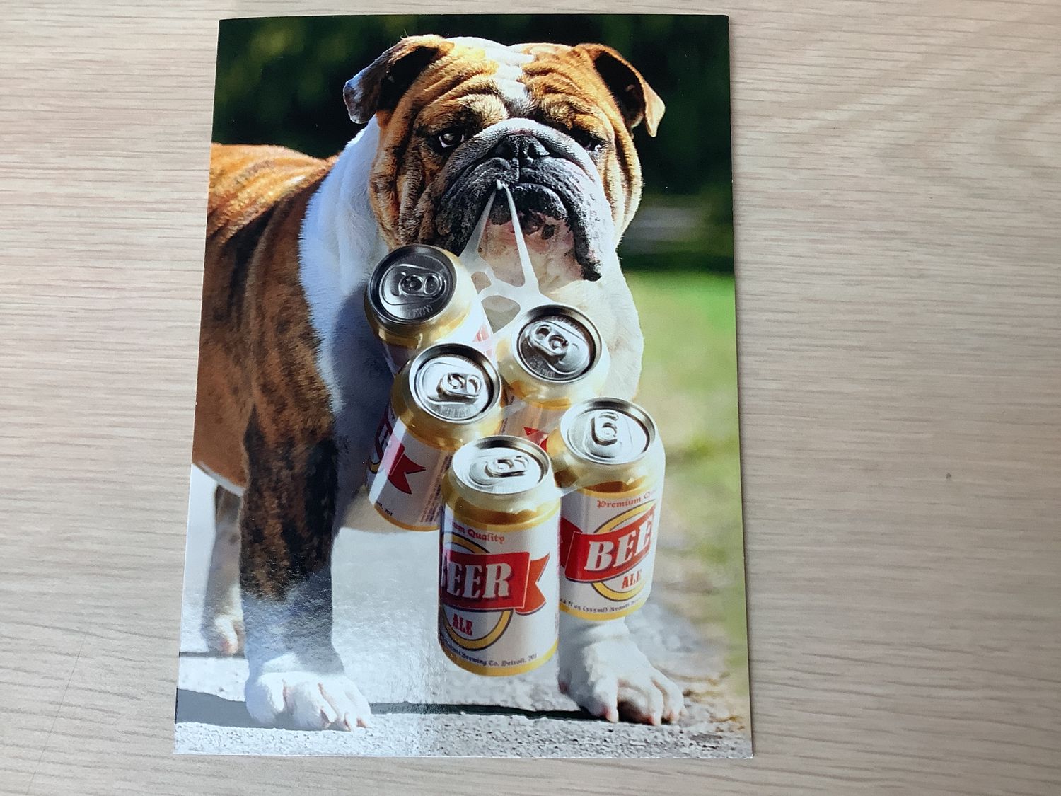 AVANTI DOG BEER FATHERS DAY CARD (IN-STORE ONLY)