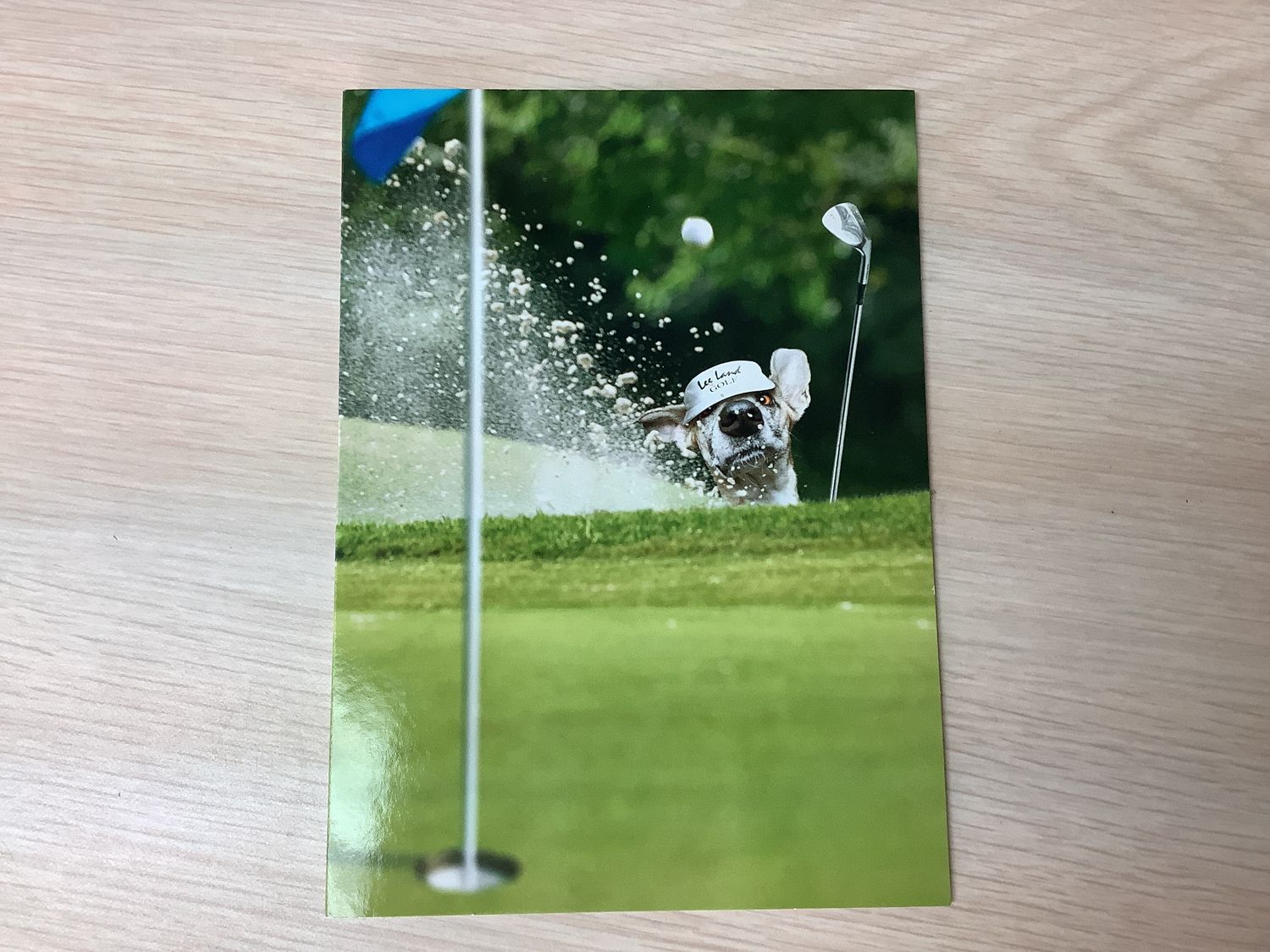 AVANTI MASTER GOLF DOG FATHERS DAY CARD (IN-STORE ONLY)