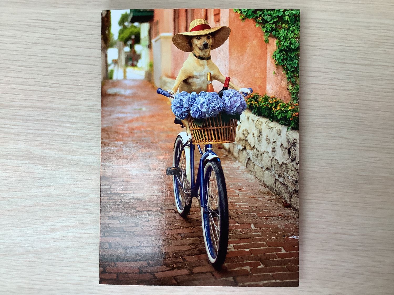 AVANTI BEST LIFE DOG RIDING BICYCLE BIRTHDAY CARD