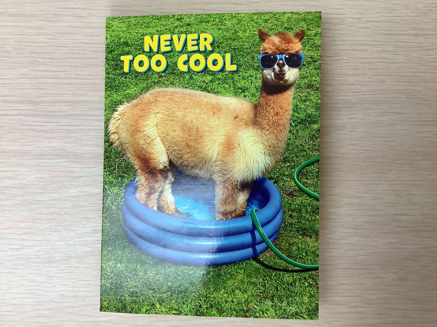AVANTI TOO COOL ALPACA BIRTHDAY CARD